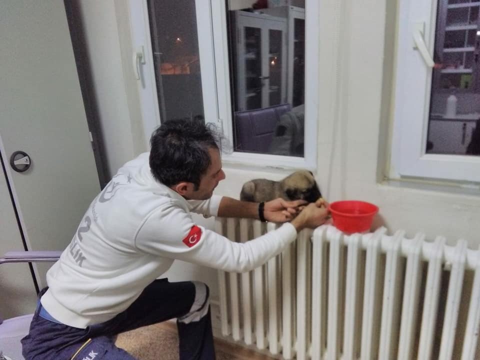 Yavru Köpeğe Sağlık Personeli Sahip Çıktı